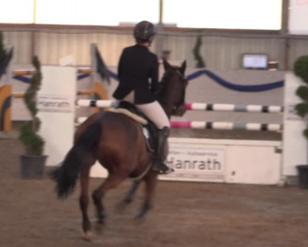 Reitturnier Rhede-Krommert 2019