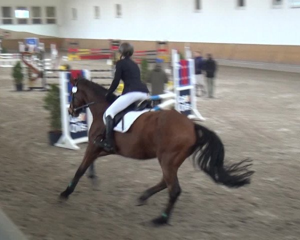 Reitturnier Freudenberg 2019