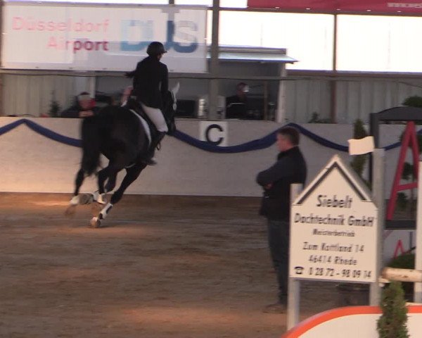 Reitturnier Rhede-Krommert 2019