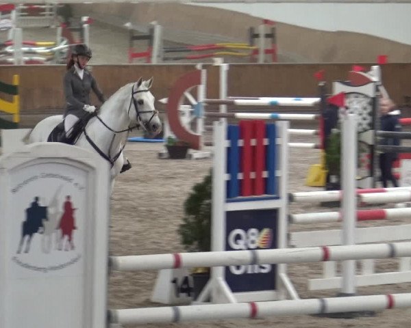 Reitturnier Freudenberg 2019