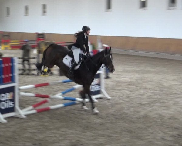 Reitturnier Freudenberg 2019