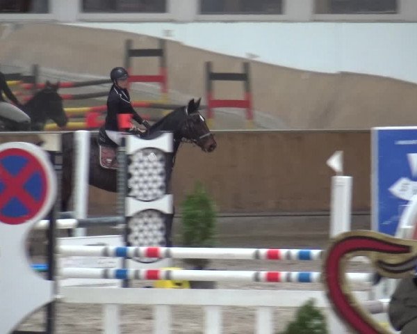 Reitturnier Freudenberg 2019