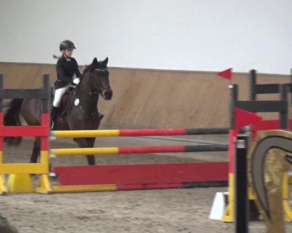 Reitturnier Freudenberg 2019