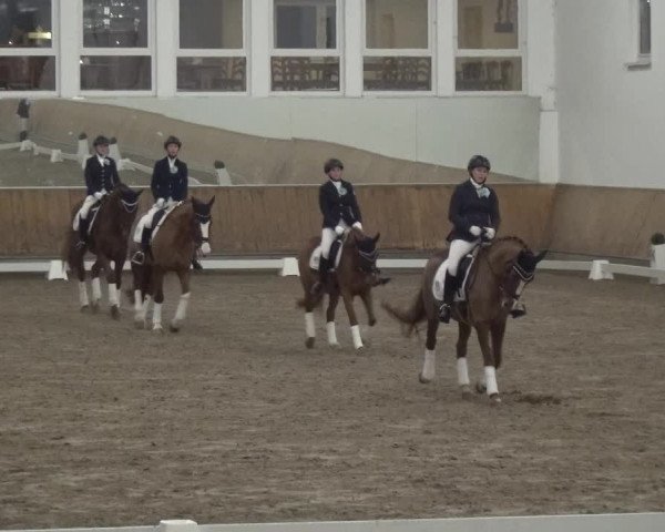 Reitturnier Freudenberg 2019