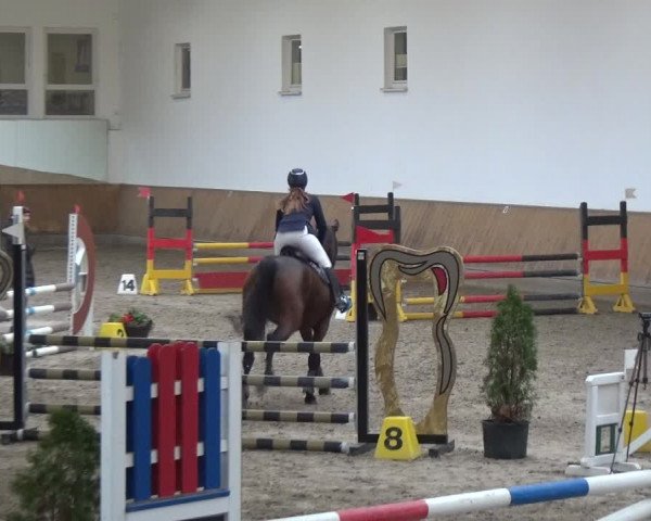 Reitturnier Freudenberg 2019