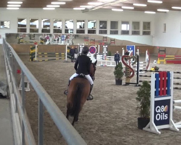 Reitturnier Freudenberg 2019