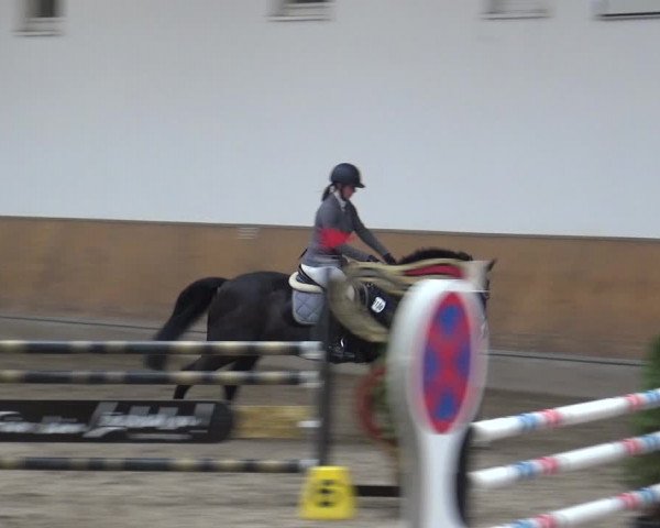 Reitturnier Freudenberg 2019