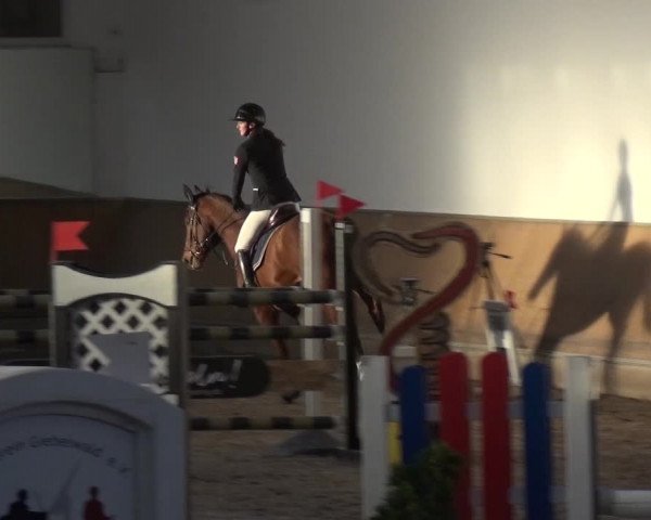Reitturnier Freudenberg 2019