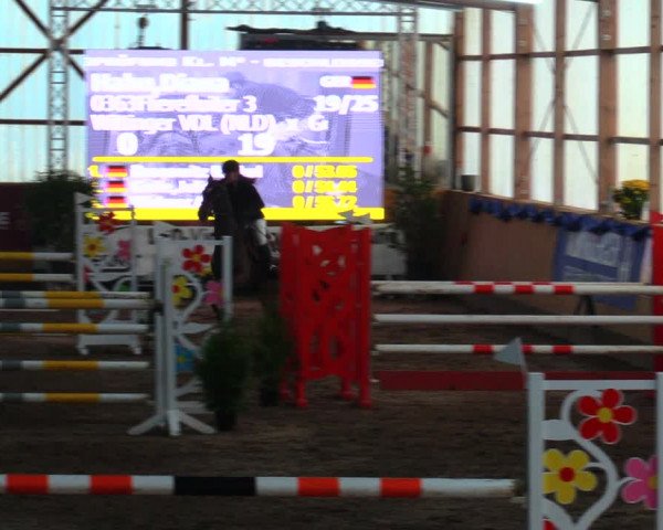 Reitturnier Pausin 2019