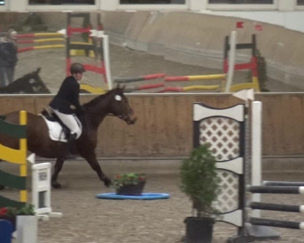 Reitturnier Freudenberg 2019