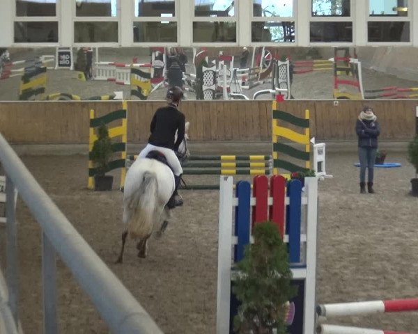 Reitturnier Freudenberg 2019