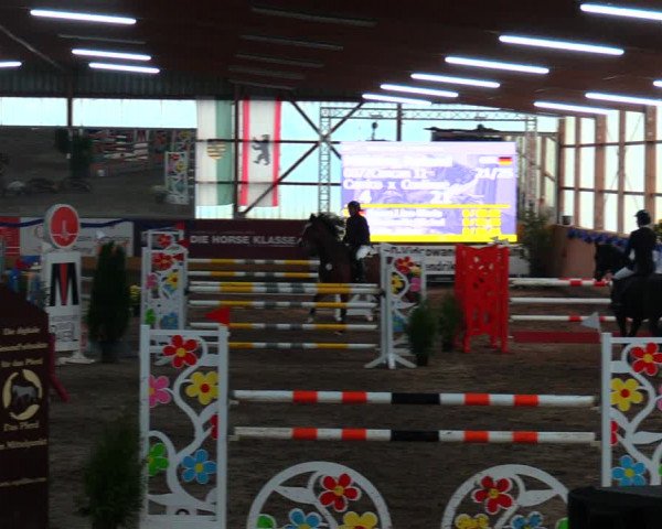Reitturnier Pausin 2019