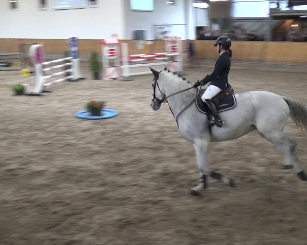 Reitturnier Freudenberg 2019
