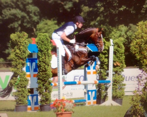 Dressurpferd Ron 51 (Oldenburger, 2003, von Roh Magic)