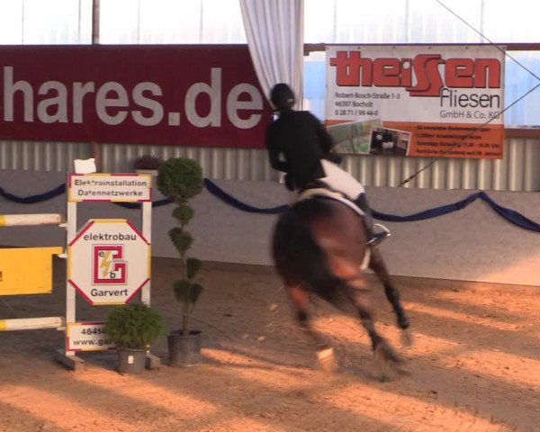 Reitturnier Rhede-Krommert 2019