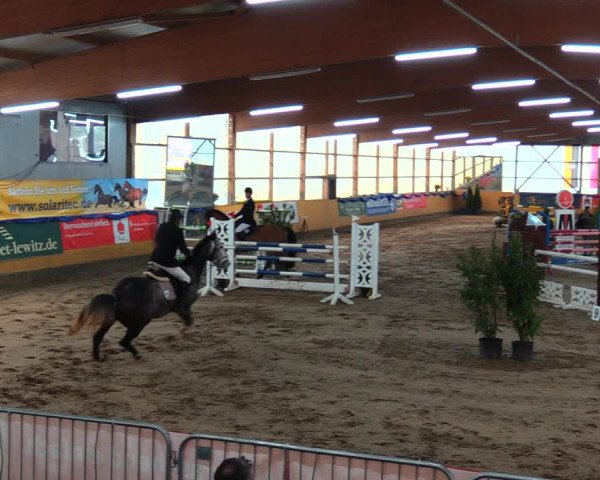 Reitturnier Pausin 2019