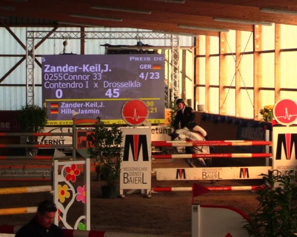 Reitturnier Pausin 2019