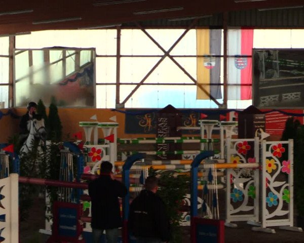 Reitturnier Pausin 2019