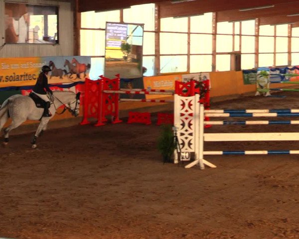 Reitturnier Pausin 2019