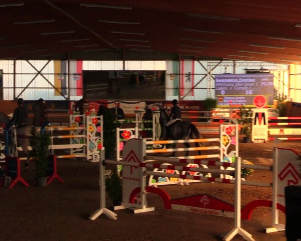 Reitturnier Pausin 2019