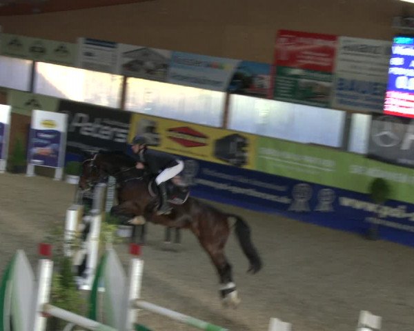 Reitturnier Isterberg 2019
