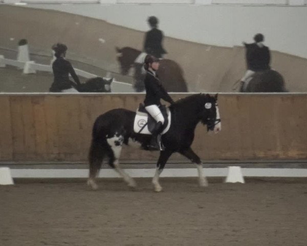 Reitturnier Freudenberg 2019