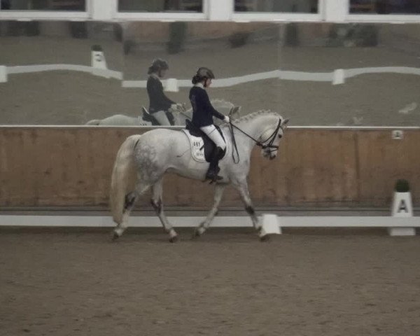 Rideturnering Freudenberg 2019