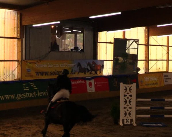 Reitturnier Pausin 2019