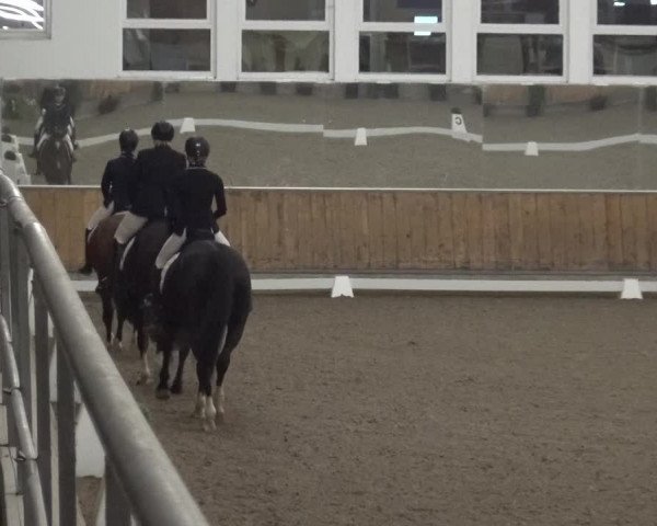 Reitturnier Freudenberg 2019