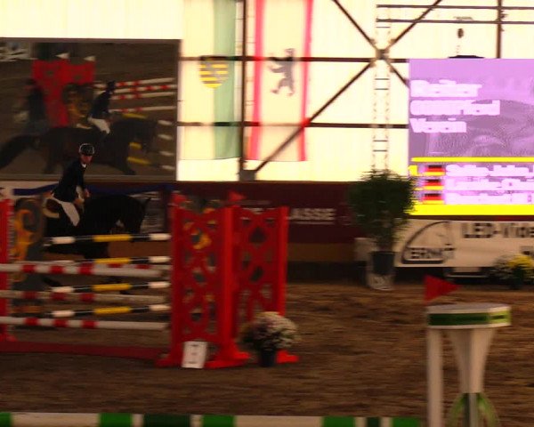 Reitturnier Pausin 2019