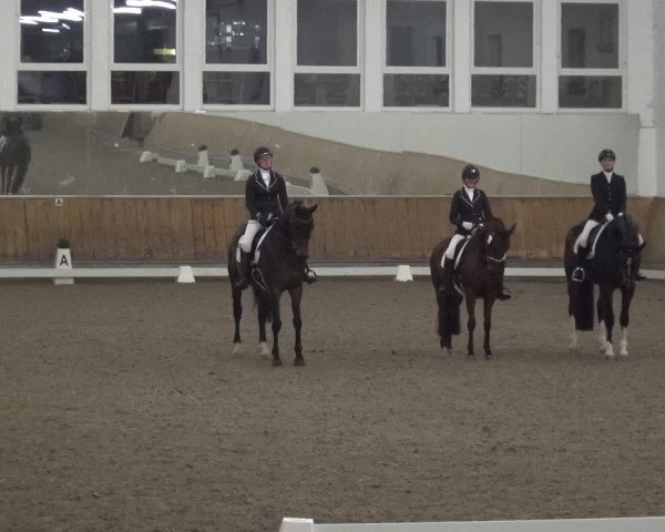 Reitturnier Freudenberg 2019