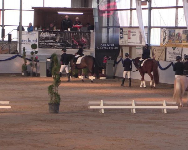 Reitturnier Rhede-Krommert 2019