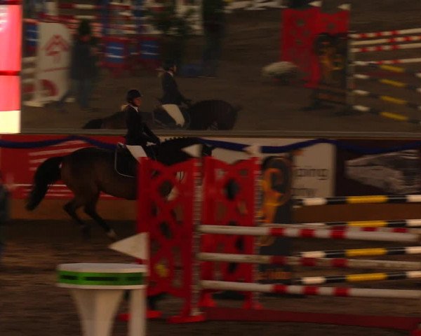 Reitturnier Pausin 2019