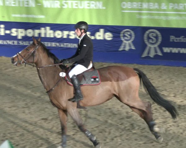 Reitturnier Isterberg 2019