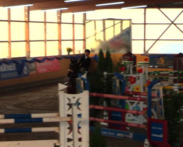 Reitturnier Pausin 2019