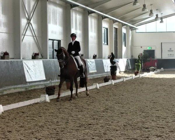 Reitturnier Mönchengladbach-Abtshof 2019
