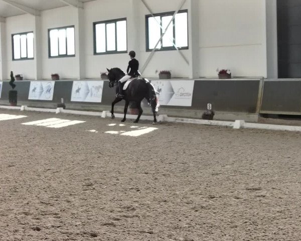 Reitturnier Mönchengladbach-Abtshof 2019