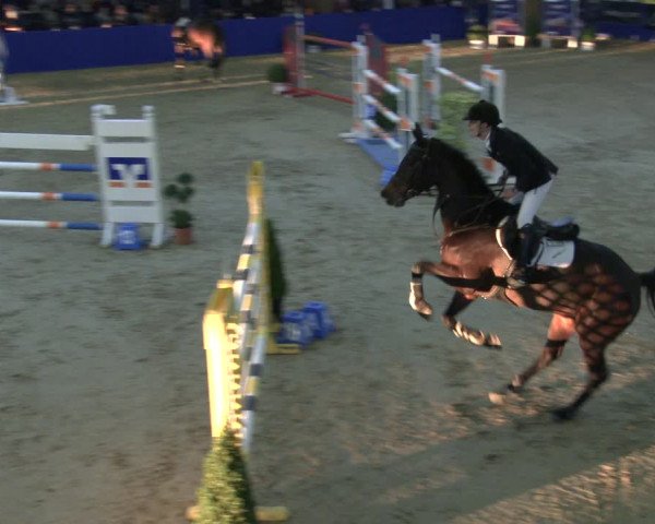 Reitturnier Isterberg 2019