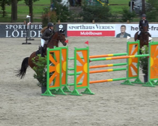Reitturnier Westergellersen 2021