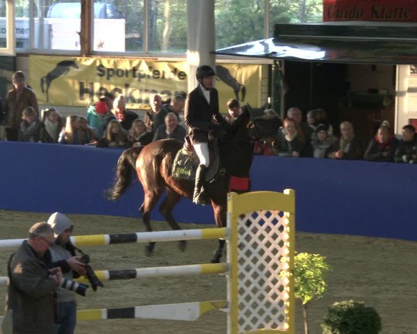 Reitturnier Isterberg 2019