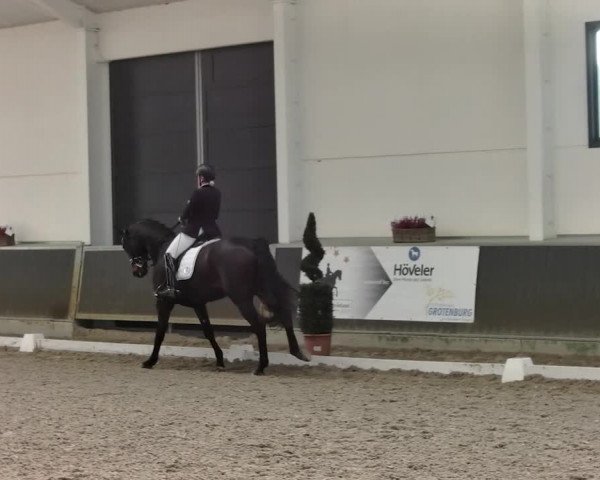 Reitturnier Mönchengladbach-Abtshof 2019