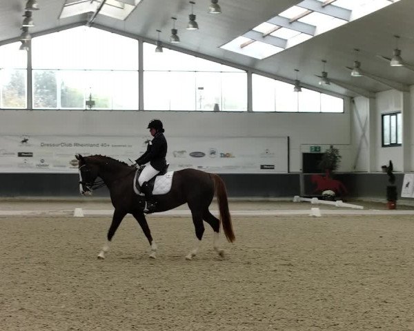 Reitturnier Mönchengladbach-Abtshof 2019