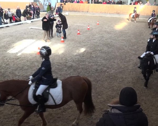 Reitturnier Freudenberg 2019
