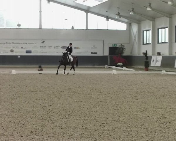 Reitturnier Mönchengladbach-Abtshof 2019