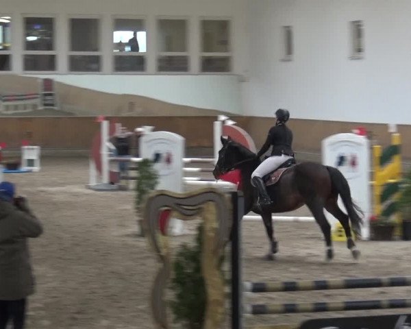 Reitturnier Freudenberg 2019