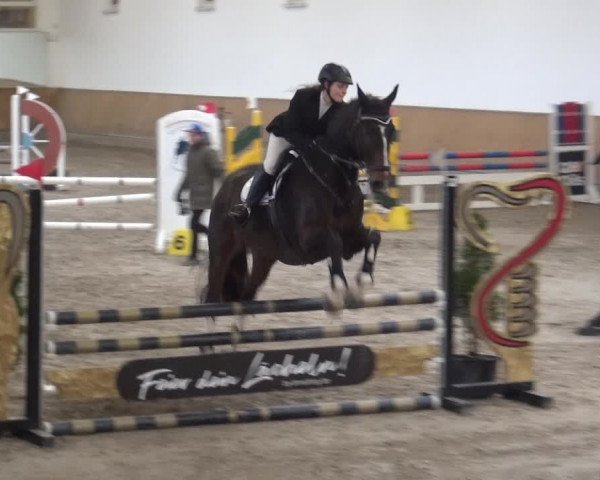 Reitturnier Freudenberg 2019