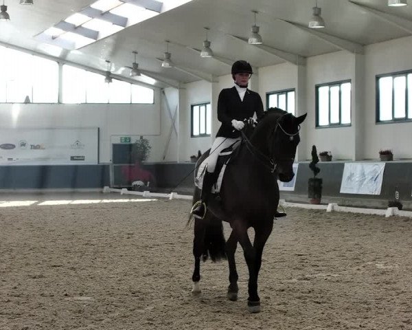 Reitturnier Mönchengladbach-Abtshof 2019