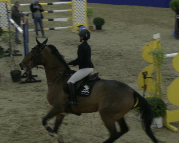 Reitturnier Isterberg 2019