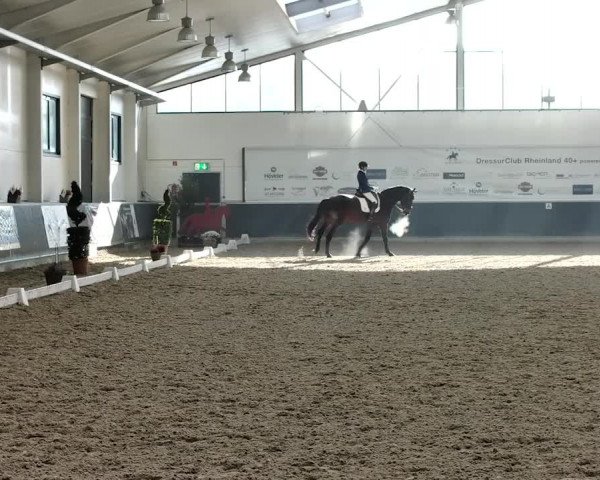 Reitturnier Mönchengladbach-Abtshof 2019