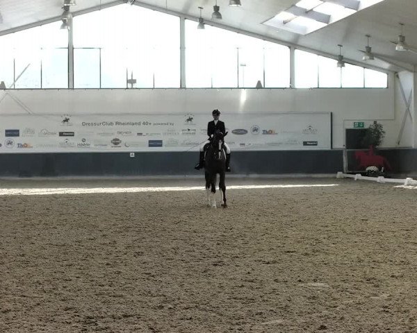 Reitturnier Mönchengladbach-Abtshof 2019